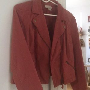 Petite large moto jacket loft